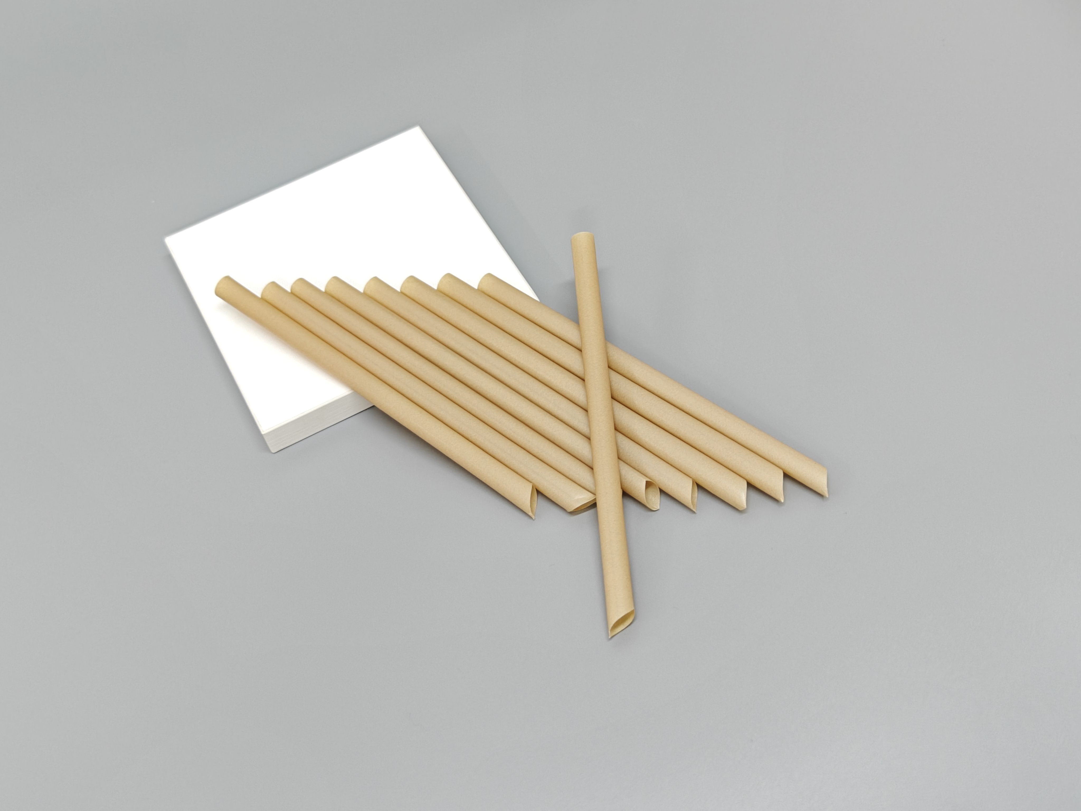 Bagasse straw-12*210mm